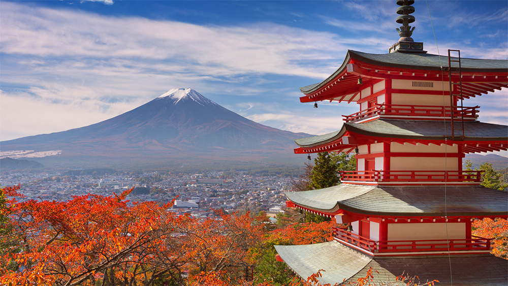 日本各大旅游公司时隔两年重启出境游业务